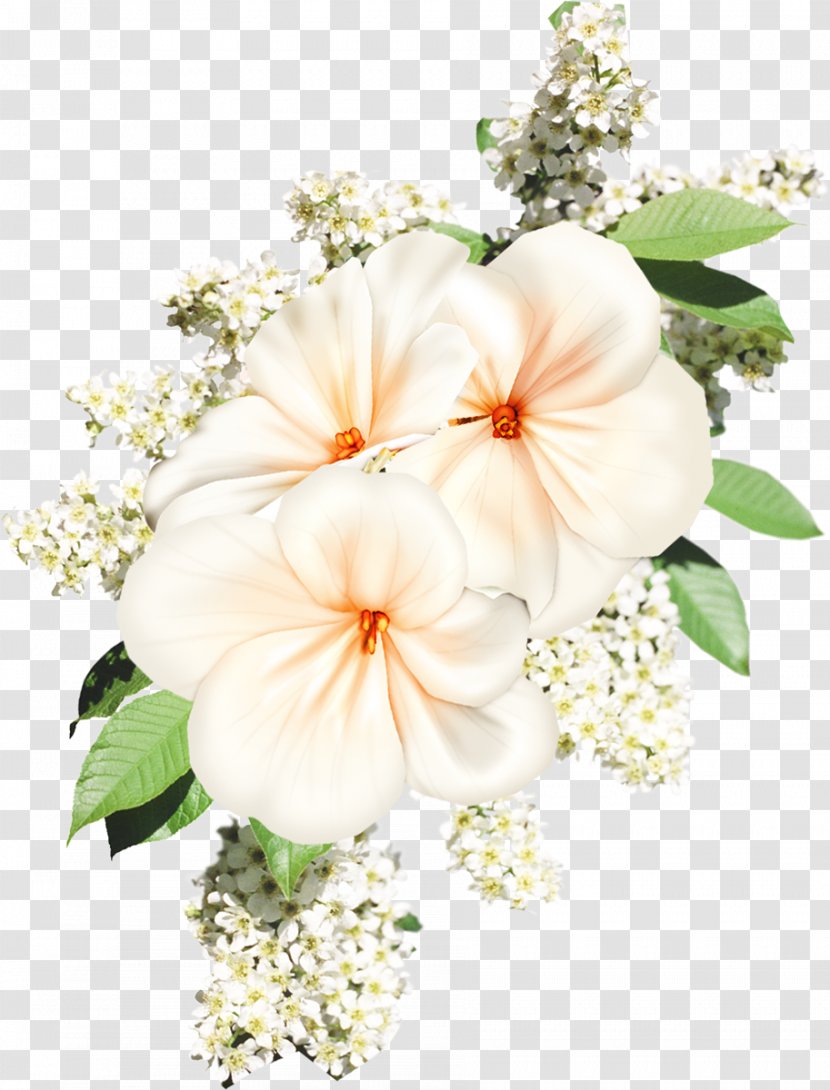 Cut Flowers White Floral Design - Plant - Flower Transparent PNG