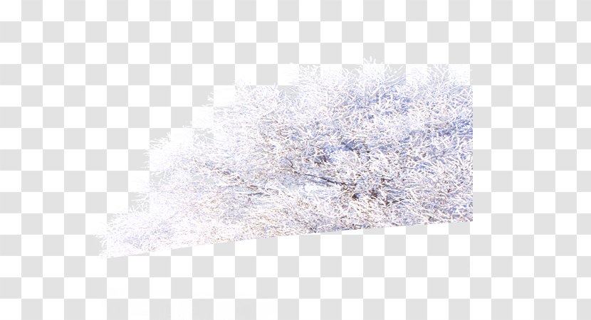 Purple Pattern - Texture - Snow Tree Background Transparent PNG