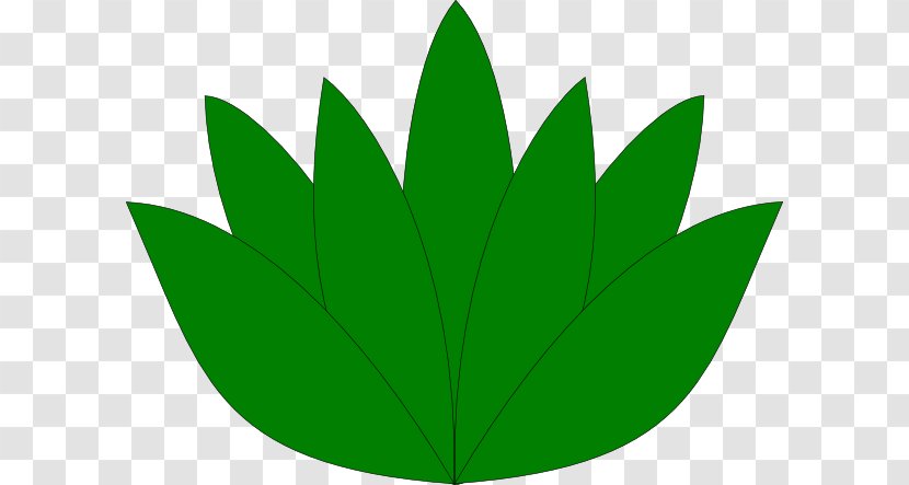 Leaf Green Plant Stem Transparent PNG