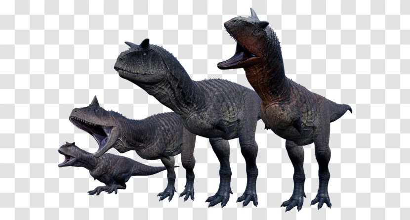 Dinosaur Carnotaurus Ceratosaurus Tyrannosaurus Allosaurus - Giganotosaurus Transparent PNG