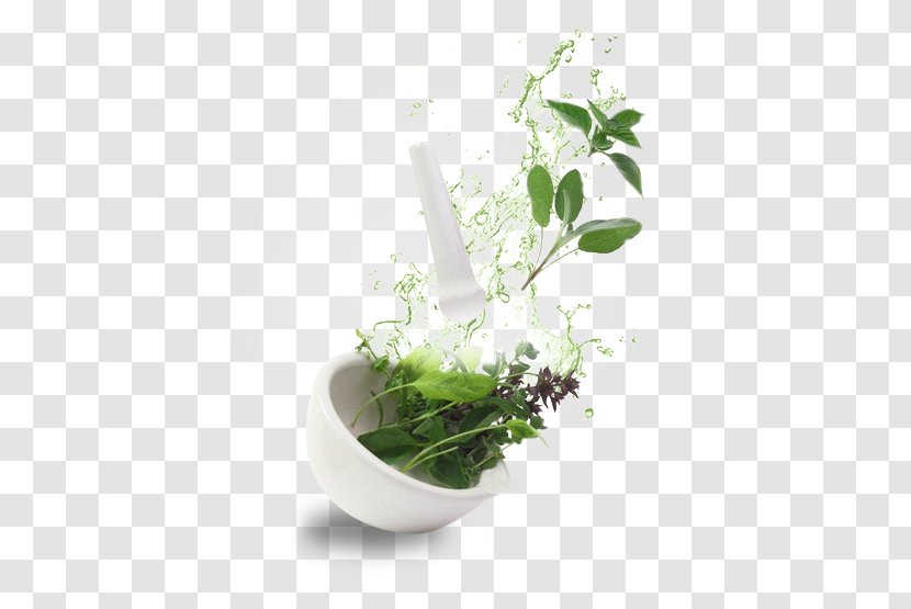 Herb Essential Oil Rose Lavender - Plant Transparent PNG