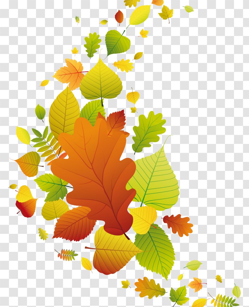 Autumn Desktop Wallpaper Blog Clip Art - Leaf - Fall Transparent PNG