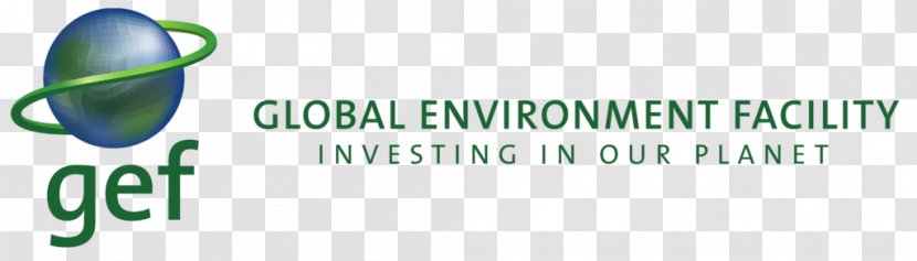 University Of Education Bank Road Campus. Logo Green - Shoe - Global Environmental Issue Transparent PNG