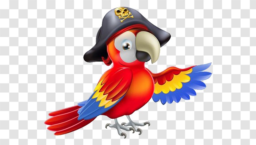 Pirate Parrot Piracy Royalty-free - Photography - Cartoon Material Transparent PNG