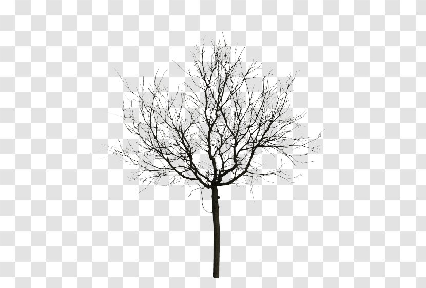 Animation Stock Photography Tree - Computer - Black Transparent PNG