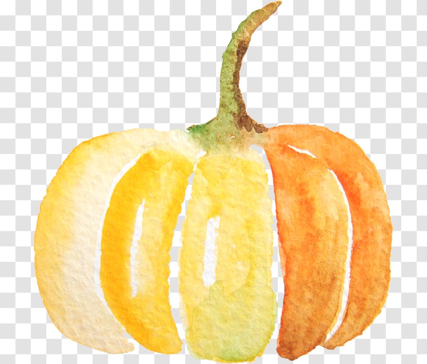 Pumpkin Spice Latte Calabaza - Vegetarian Food - Watercolor Transparent PNG