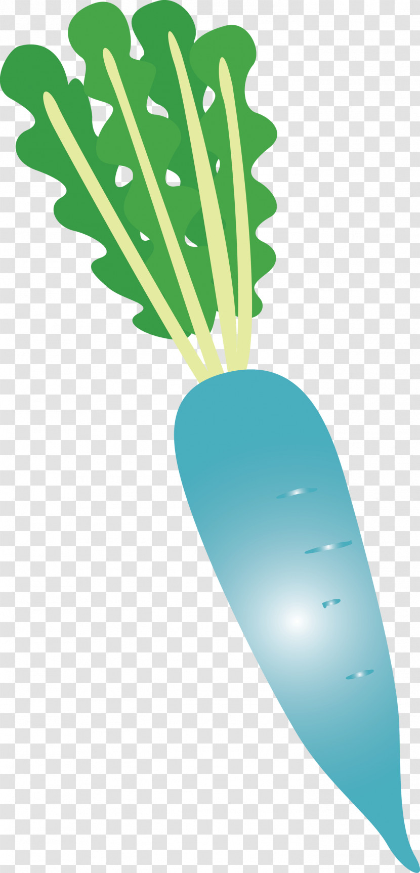 Radish Transparent PNG