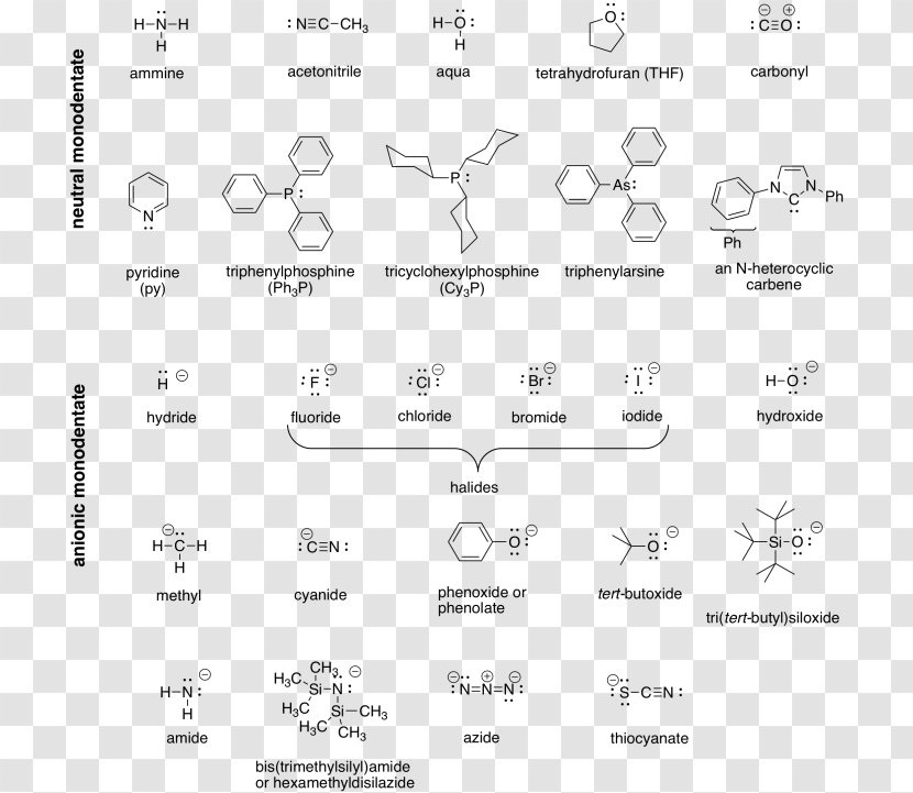 Ligand Coordination Complex Chemistry Chemia Koordynacyjna Reactivity - Flower - Heart Transparent PNG