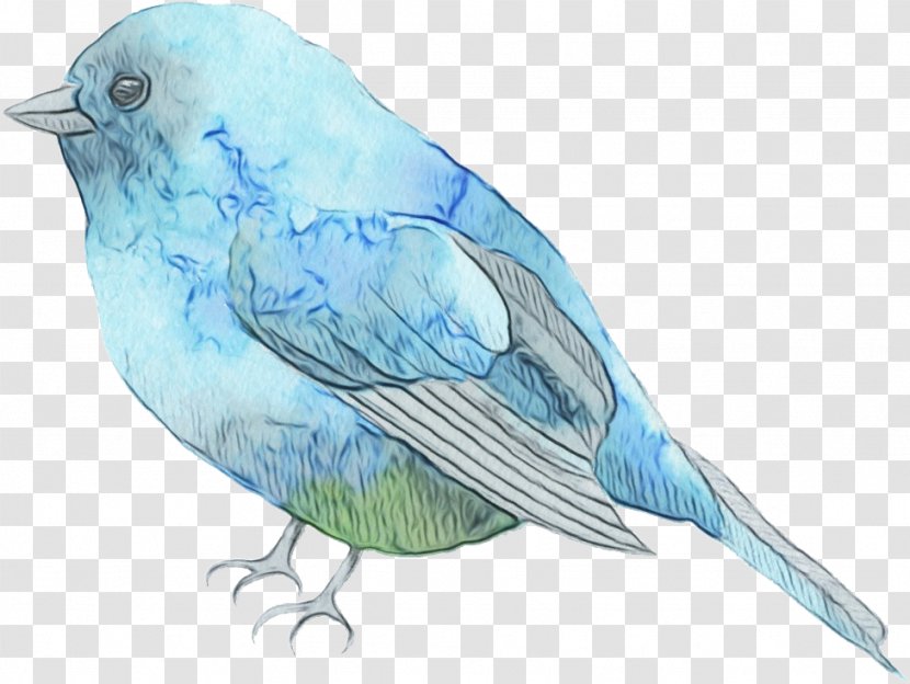 Feather - Songbird - Bluebird Transparent PNG