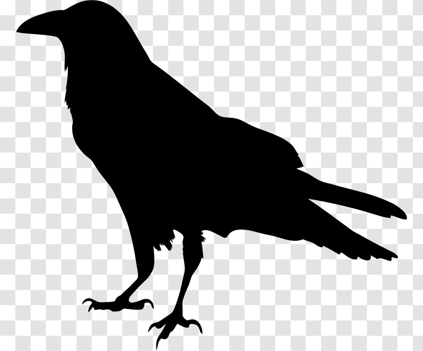 The Raven Silhouette Drawing Clip Art - Wing Transparent PNG