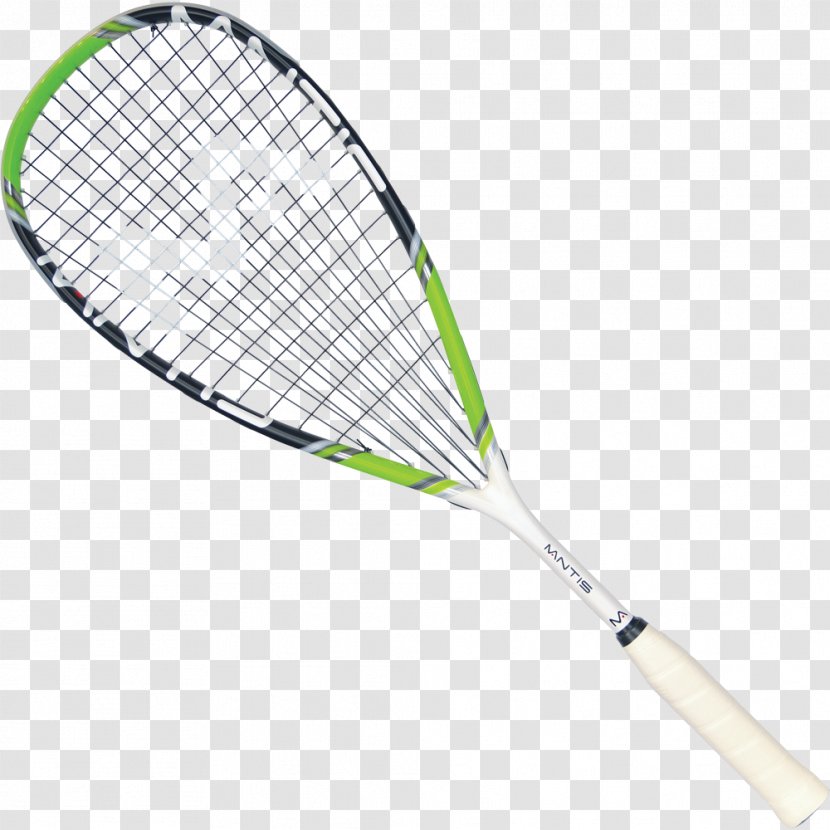Racket Squash Tennis Babolat Head - Strings - Sport Transparent PNG