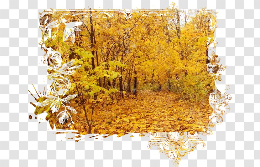 Autumn Digital Image - Yellow Transparent PNG