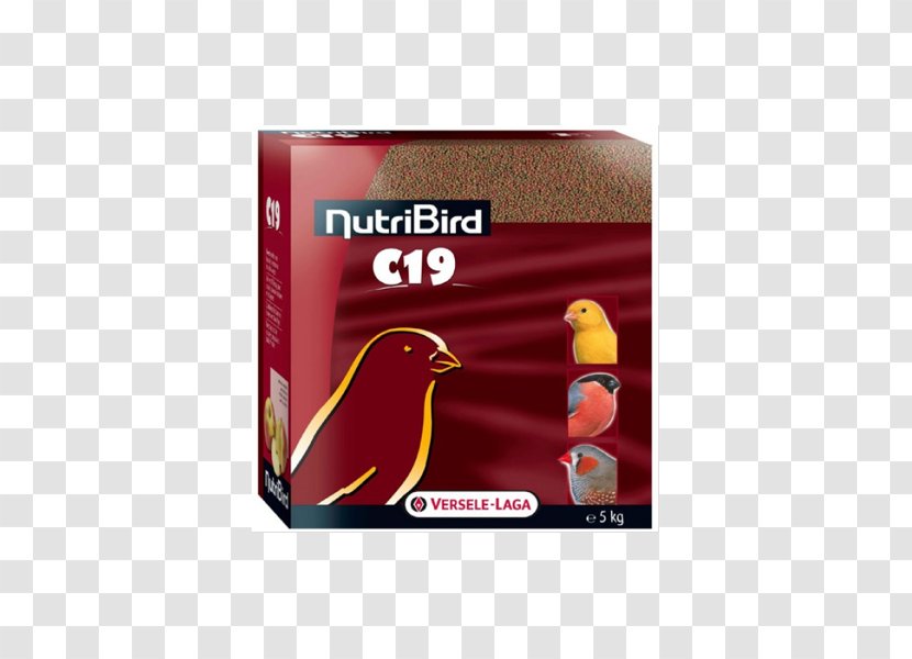 Aliment Composé Domestic Canary Bird Food Budgerigar Transparent PNG