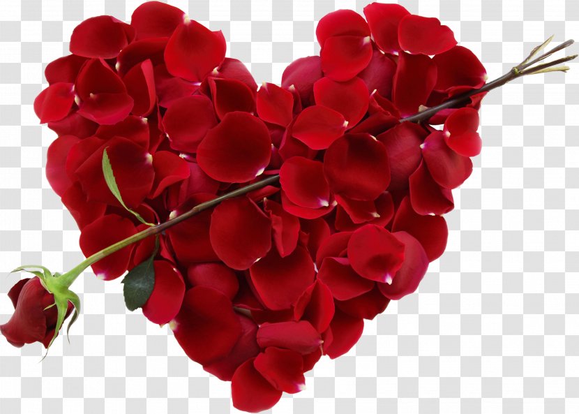 Valentine's Day Flower Bouquet Floral Design Rose - Heart - Valentines Transparent PNG