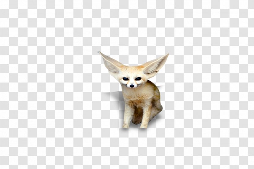 Red Fox Animal - Wildlife - Fox, Transparent PNG