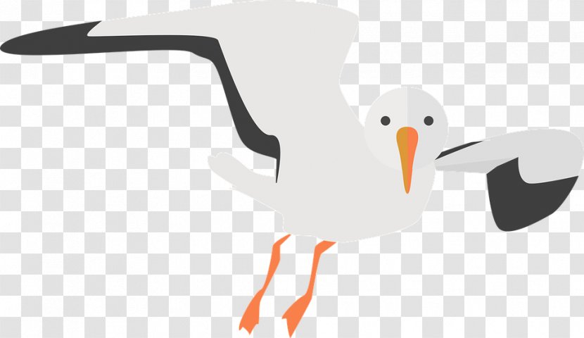 Common Gull Clip Art - Ducks Geese And Swans Transparent PNG