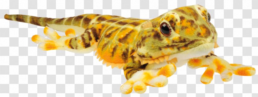 Lizard Reptile Komodo Dragon Stuffed Animals & Cuddly Toys Bearded - Flower Transparent PNG