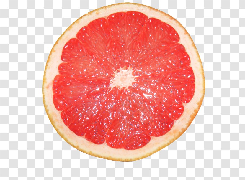 Grapefruit Pomelo Citrus Myrtifolia Tangerine Lemon - Fruit Transparent PNG