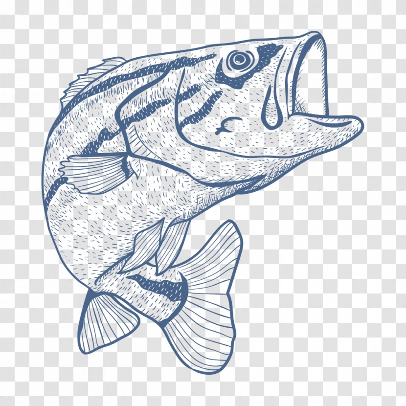 Fishing Rod Seafood Drawing Sketch - Hobby - Fish Transparent PNG