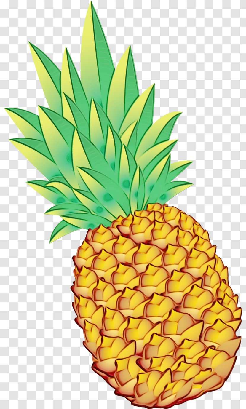 Clip Art Pineapple Drawing Watercolor Painting - Plant - Fruit Transparent PNG
