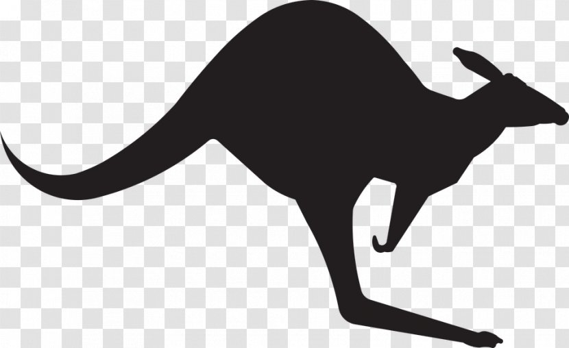 Kangaroo Royalty-free Clip Art - Cat Like Mammal Transparent PNG