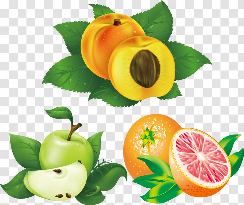 Fruit Peach Apricot Illustration - Green Leaves Lemon Apple Transparent PNG