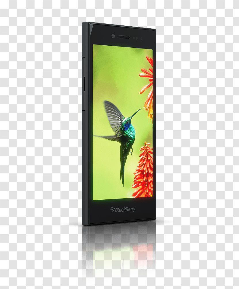 Smartphone BlackBerry Leap Tangguh Screen Protectors - Blackberry - Large Phone Transparent PNG