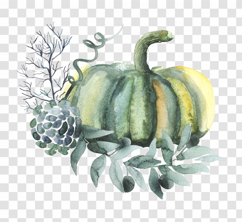 Pumpkin Watercolor Painting Vegetable - Fruit Transparent PNG