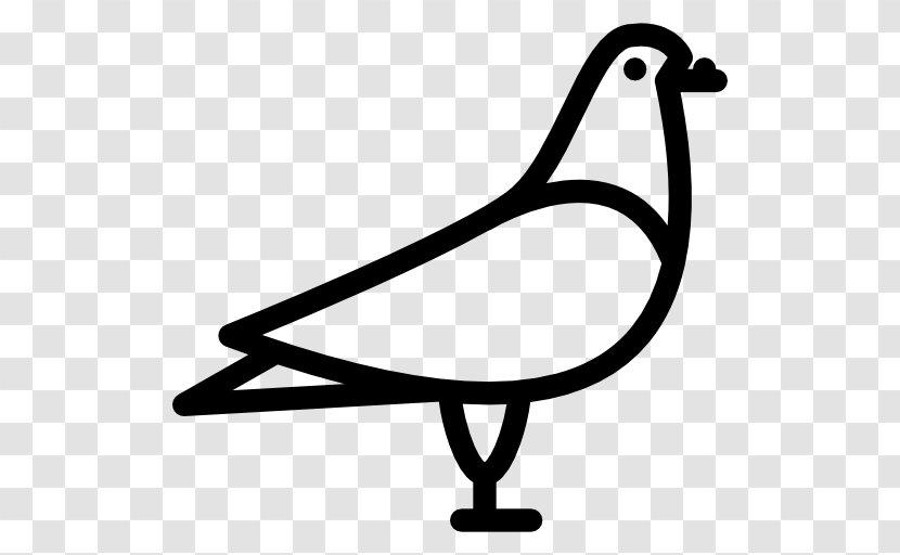 Columbidae Rock Dove Bird - Peace Transparent PNG