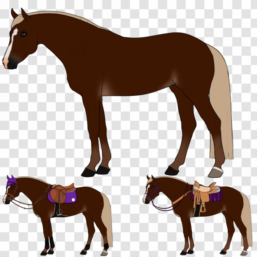 Mustang Foal Stallion Colt Rein Transparent PNG