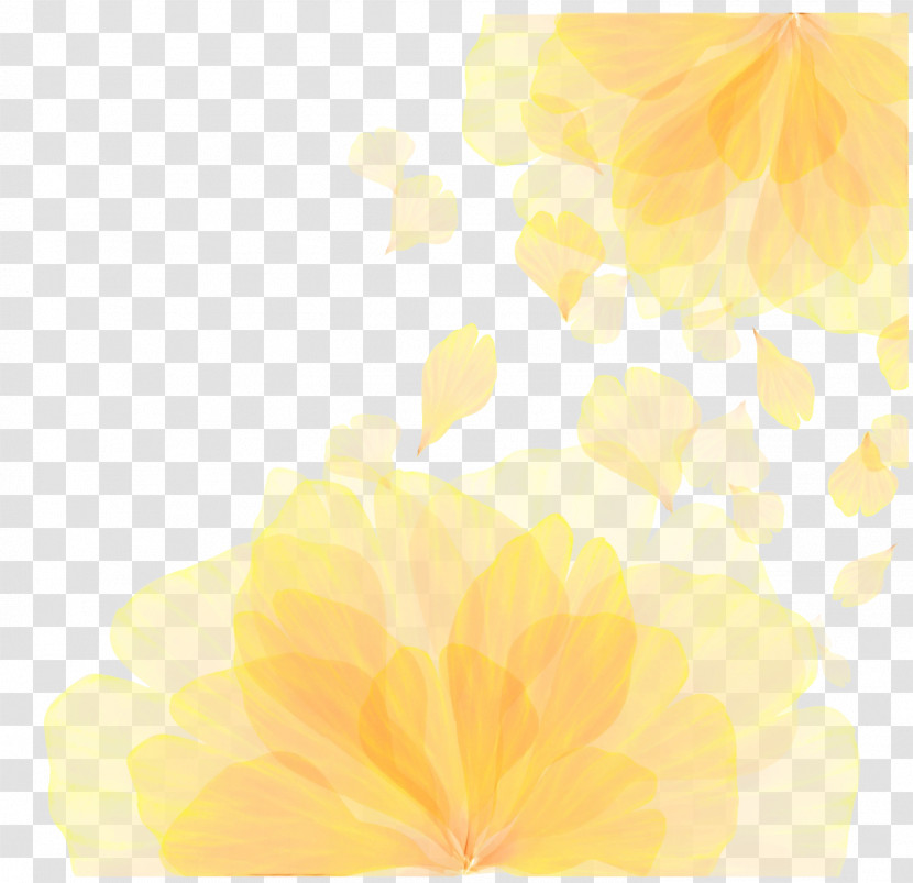 Flower Petal Leaf Yellow Sunlight Transparent PNG
