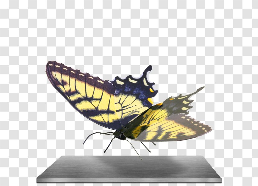 Swallowtail Butterfly Eastern Tiger Metal Old World - Plastic Model Transparent PNG