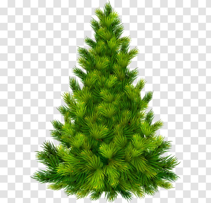 Christmas Tree Ornament Clip Art - Nativity Scene - Green Pine Transparent PNG