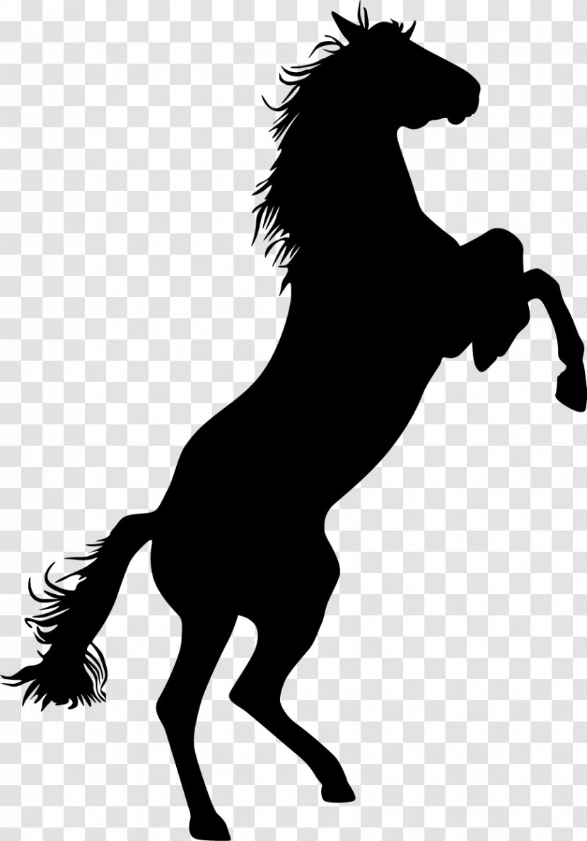 Mustang Standing Horse Bronco Equestrian Clip Art - Bareback Riding - Bison Transparent PNG