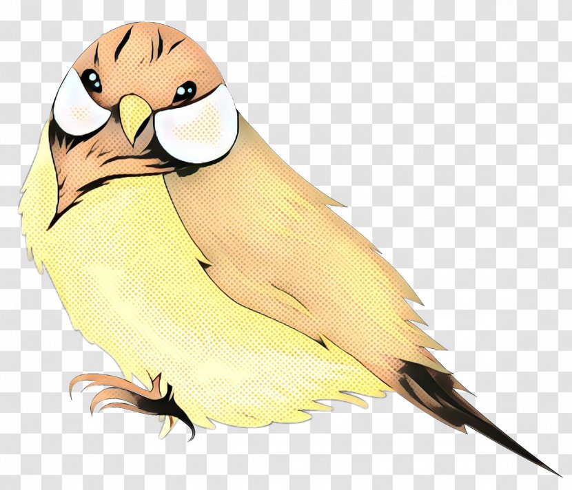Lovebird Parakeet Beak Finches - Bird - Finch Transparent PNG