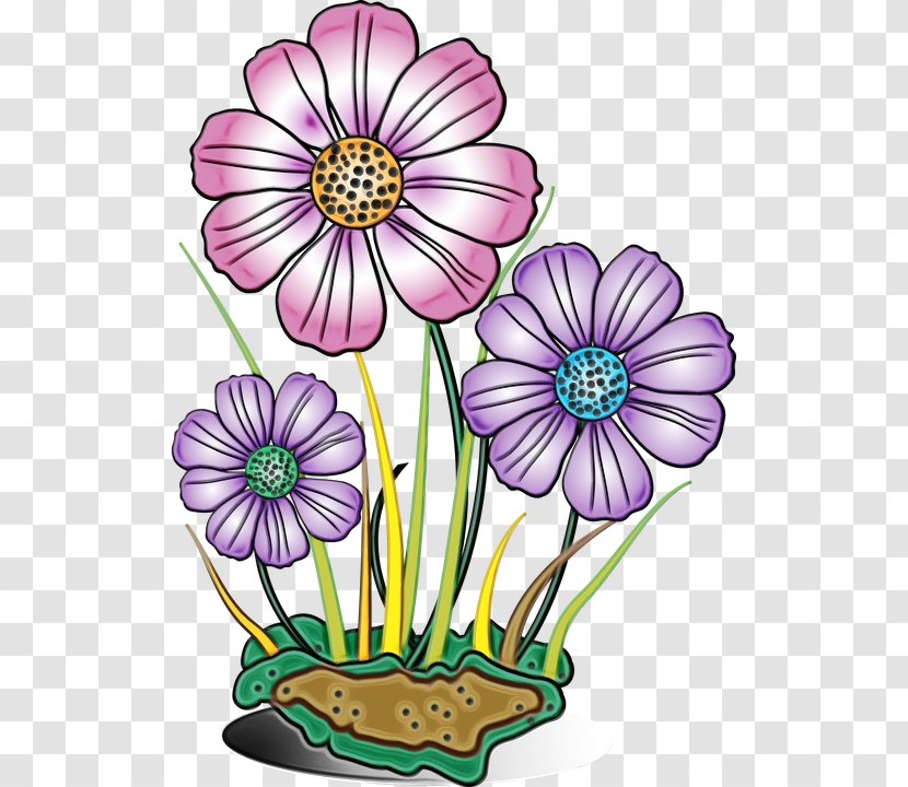 Flowers Background - Common Daisy - Family African Transparent PNG