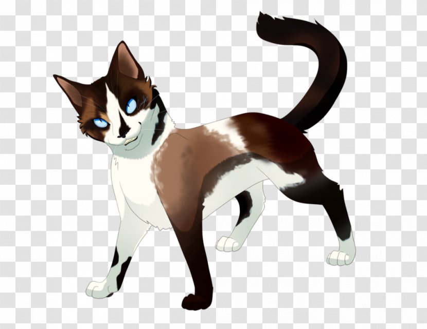 Whiskers Domestic Short-haired Cat Kitten Tail - Siamese Transparent PNG