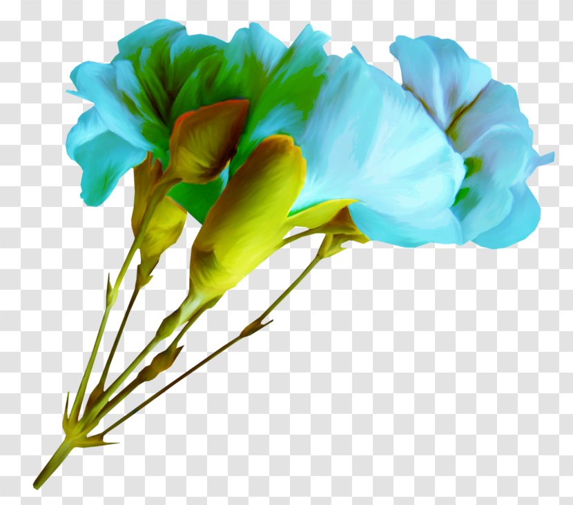 Cut Flowers Blue Floral Design Petal - Plant Transparent PNG