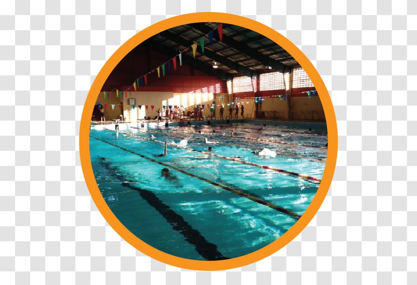 Swimming Pool Sport Natatorium Trujillo Alto - Recreation - Sports Activities Transparent PNG