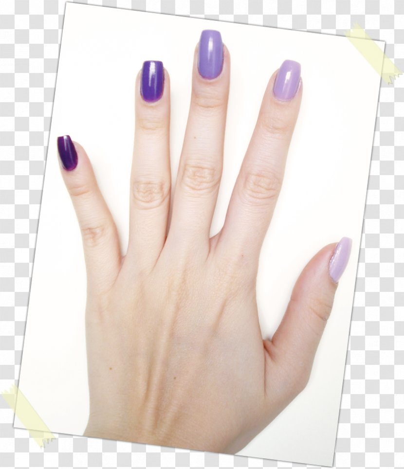 Nail Polish Manicure Color Gradient Hand Model - Care Transparent PNG