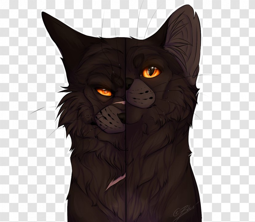 Cat Kitten Fan Art DeviantArt - Innocent And Lovely Transparent PNG