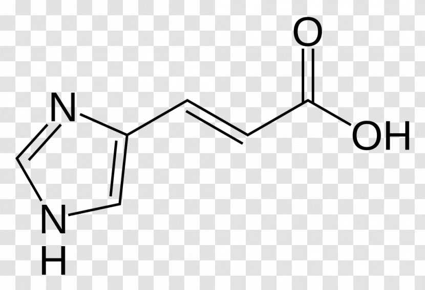 Histidine Tyrosine Structure Amino Acid Urocanic - Watercolor - Heart Transparent PNG