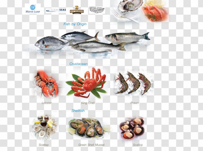 冬の天気とくらし Fish Products - Design Transparent PNG