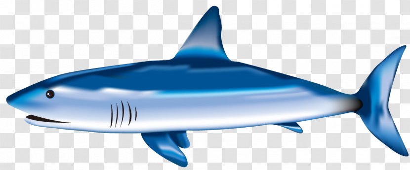 Tiger Shark Great White Blue Fin Soup - Cartilaginous Fish Transparent PNG