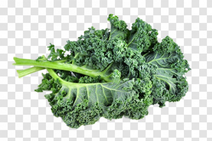 Broccoli Lacinato Kale Brussels Sprout Organic Food Leaf Vegetable - Komatsuna Transparent PNG