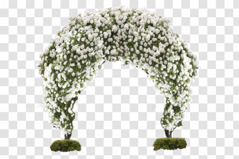 Flower Arch Fundal - White Gate Transparent PNG