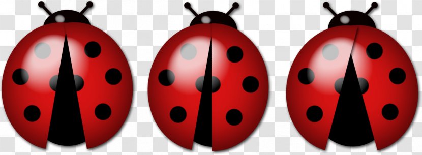 Ladybird Insect Luck Family Transparent PNG