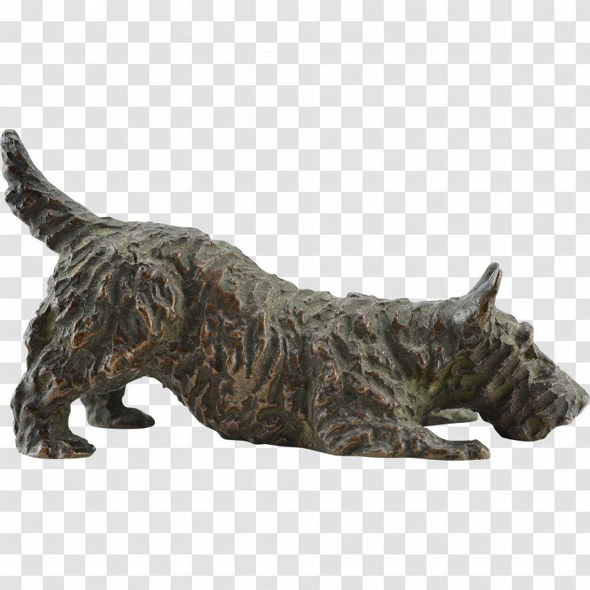 Cairn Terrier Scottish Cesky Miniature Schnauzer Dog Breed - Antique Transparent PNG