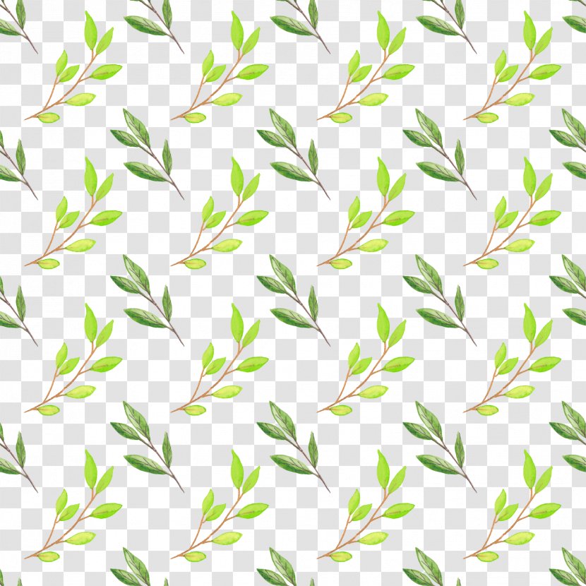 Watercolor Painting Paper - Green Leaves Background Transparent PNG