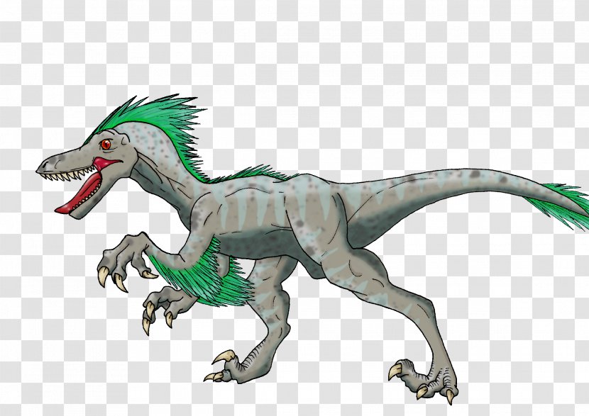 Velociraptor Tyrannosaurus Dragon Animal Transparent PNG